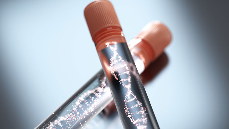 Paternity Testing Methods