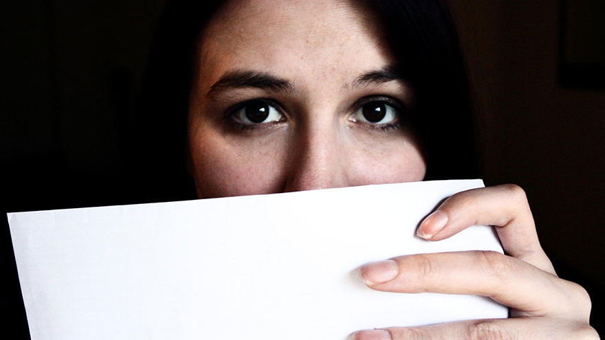Query Letter