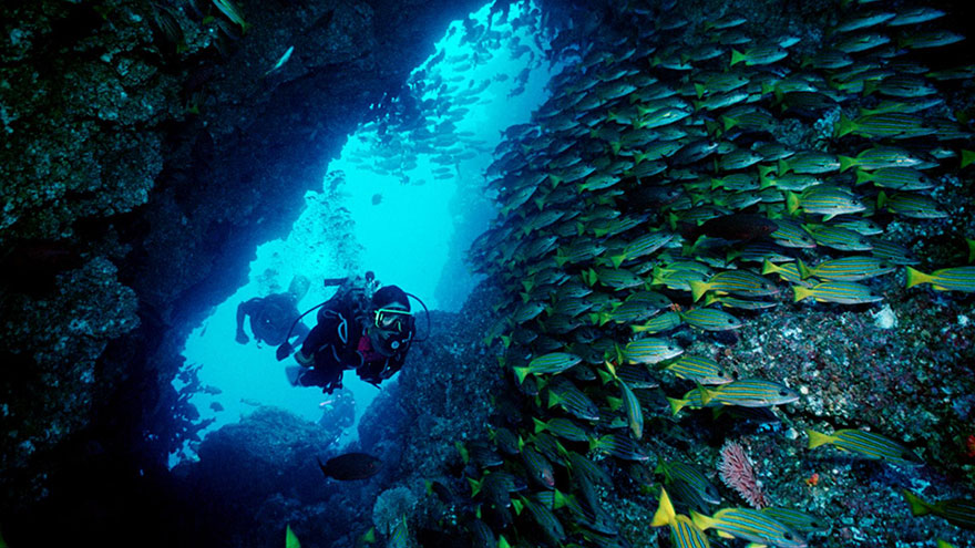 Cocos Island