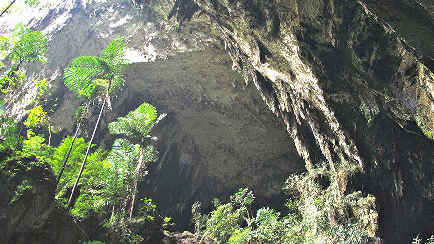 Wild Cave Access