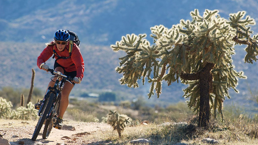 Mt. Lemmon Bike Riding In Tucson, Arizona | Our Deer