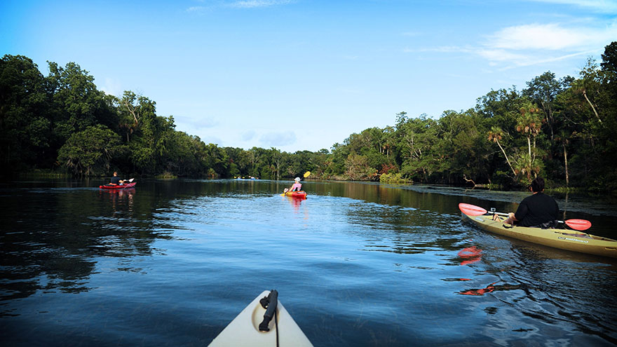 Freshwater Kayaking Locations in Broward
